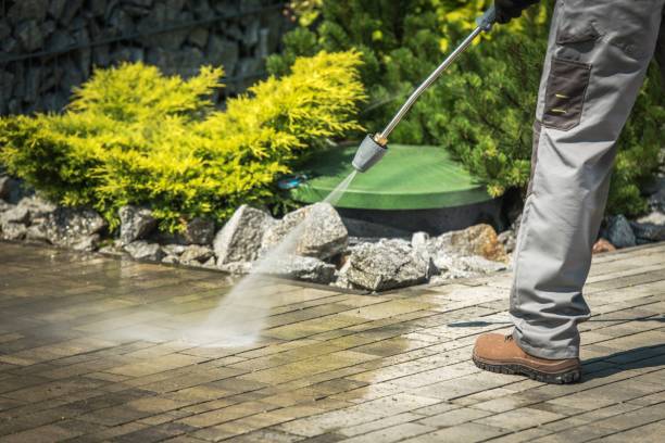 Best Winterizing Services  in Pierce, NE