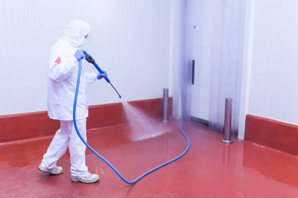 Best Playground Equipment Cleaning  in Pierce, NE