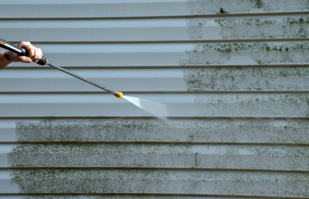 Best Patio and Deck Pressure Washing  in Pierce, NE