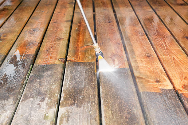Best Sidewalk and Walkway Cleaning  in Pierce, NE
